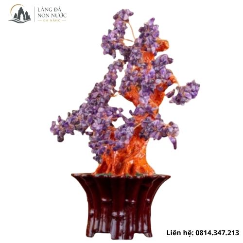 Cay-tai-loc-de-ban-langdanonnuocdanang-1